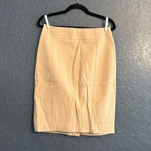 Ann Taylor Pencil Skirt